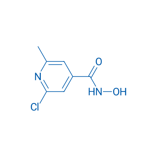 2-Chloro-N-hydroxy-6-methylpyridine-4-carboxamide 1g