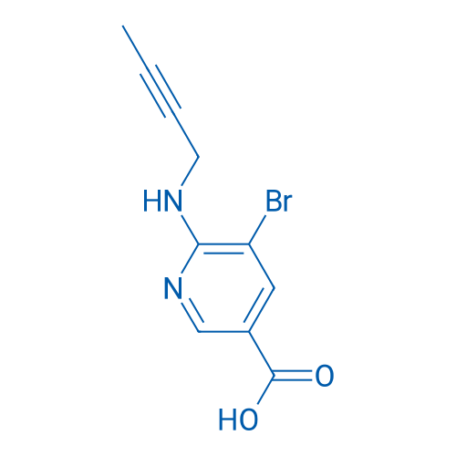 5-Bromo-6-[(but-2-yn-1-yl)amino]pyridine-3-carboxylic acid 1g