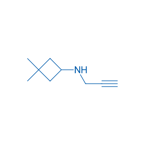 3,3-Dimethyl-N-(prop-2-yn-1-yl)cyclobutan-1-amine 1g
