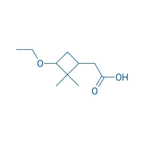 2-(3-ethoxy-2,2-dimethylcyclobutyl)acetic acid 100mg