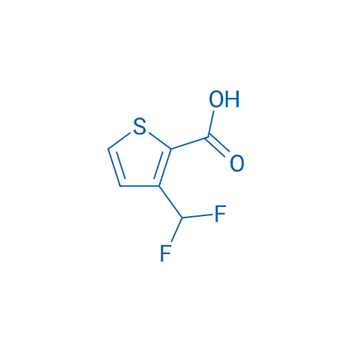 3-(Difluoromethyl)thiophene-2-carboxylic acid 1g