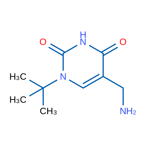 5-(Aminomethyl)-1-tert-butyl-1,2,3,4-tetrahydropyrimidine-2,4-dione 1g