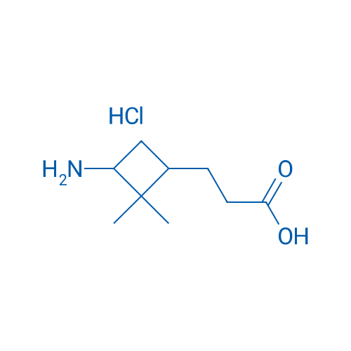 3-(3-Amino-2,2-dimethylcyclobutyl)propanoic acid hydrochloride 1g