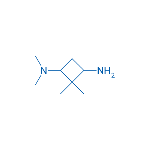 N1,N1,2,2-Tetramethylcyclobutane-1,3-diamine 1g