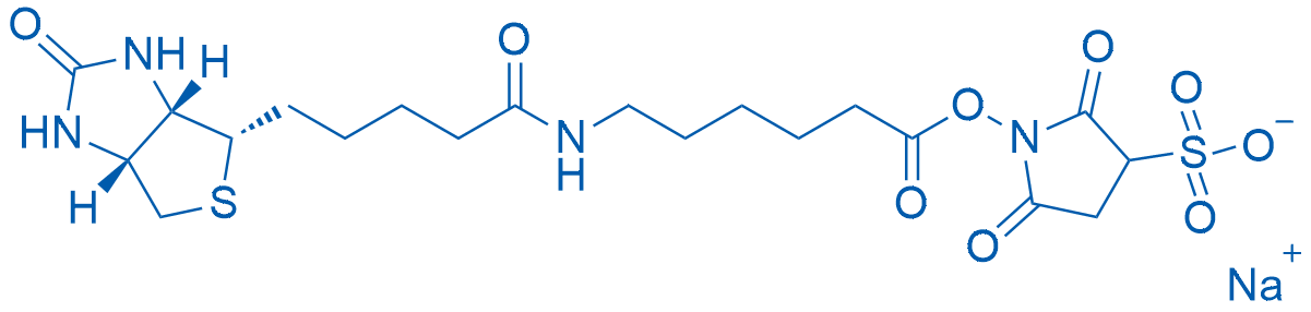 Sulfo-NHS-LC-Biotin sodium 100mg