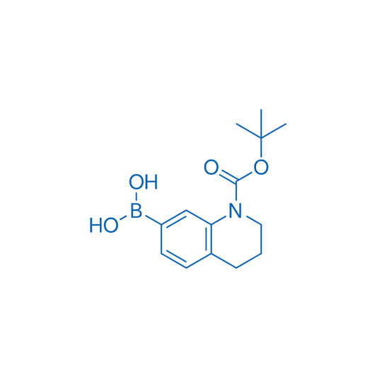 (1-(tert-Butoxycarbonyl)-1,2,3,4-tetrahydroquinolin-7-yl)boronic acid 1g