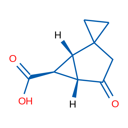 (1R,5S,6S)-4-Oxospiro[bicyclo[3.1.0]hexane-2,1'-cyclopropane]-6-carboxylic acid 1g