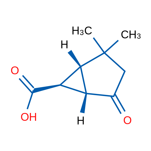 (1R,5S,6S)-2,2-Dimethyl-4-oxobicyclo[3.1.0]hexane-6-carboxylic acid 1g