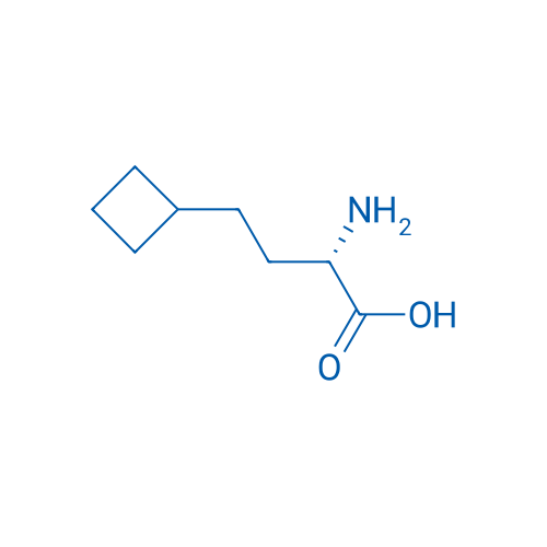 (2S)-2-Amino-4-cyclobutylbutanoic acid 250mg