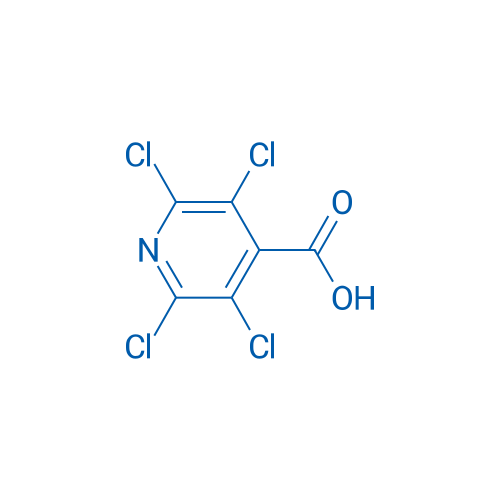 2,3,5,6-Tetrachloroisonicotinic acid 100mg