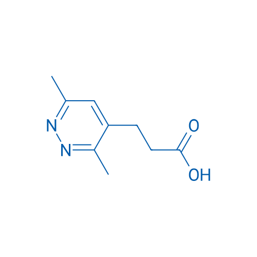 3-(3,6-Dimethylpyridazin-4-yl)propanoic acid 1g