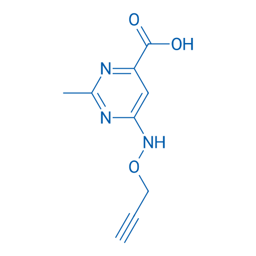 2-Methyl-6-[(prop-2-yn-1-yloxy)amino]pyrimidine-4-carboxylic acid 1g