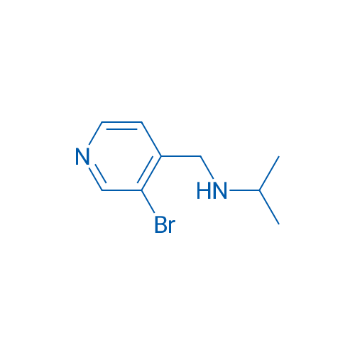 N-((3-Bromopyridin-4-yl)methyl)propan-2-amine 1g
