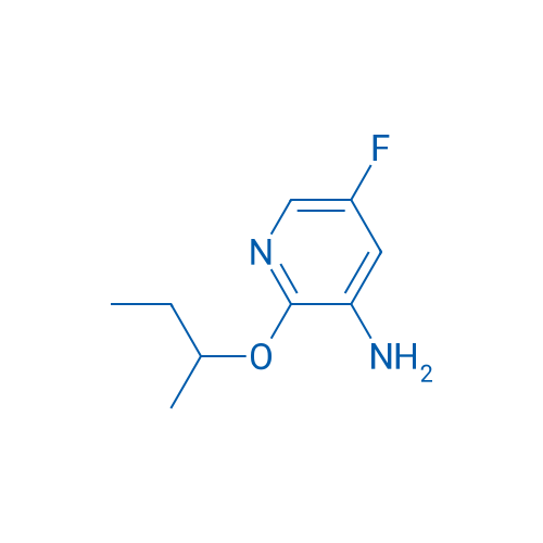 2-(Butan-2-yloxy)-5-fluoropyridin-3-amine 1g
