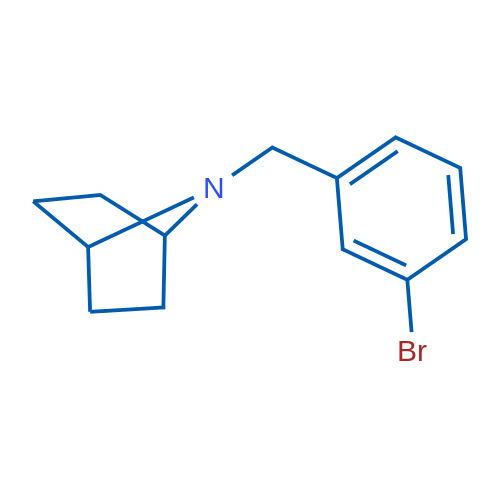 7-[(3-Bromophenyl)methyl]-7-azabicyclo[2.2.1]heptane 1g