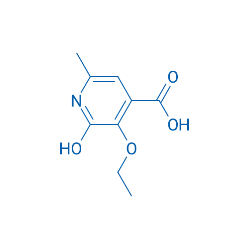 3-Ethoxy-2-hydroxy-6-methylisonicotinic acid 100mg