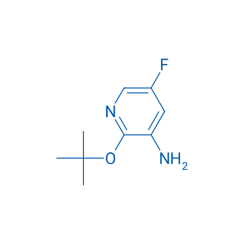 2-(tert-Butoxy)-5-fluoropyridin-3-amine 1g