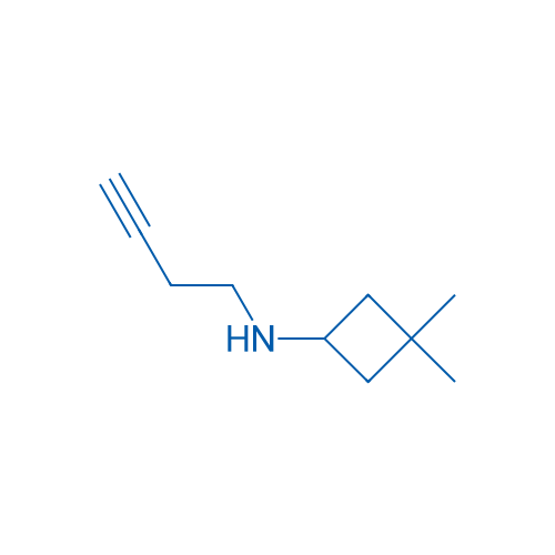 N-(But-3-yn-1-yl)-3,3-dimethylcyclobutan-1-amine 1g