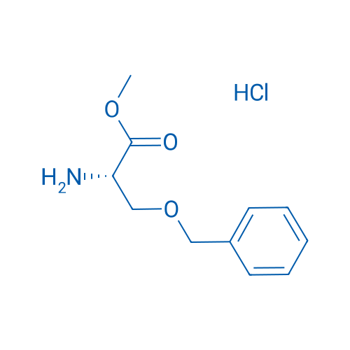 H-Ser(Bzl)-OMe·HCl 10g