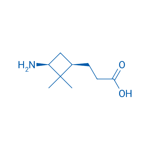 3-[(1R,3S)-3-Amino-2,2-dimethylcyclobutyl]propanoic acid 1g