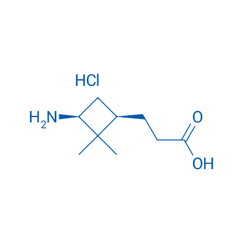 3-[(1R,3S)-3-Amino-2,2-dimethylcyclobutyl]propanoic acid hydrochloride 1g