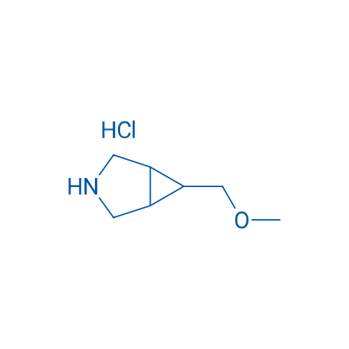 6-(Methoxymethyl)-3-azabicyclo[3.1.0]hexane hydrochloride 1g
