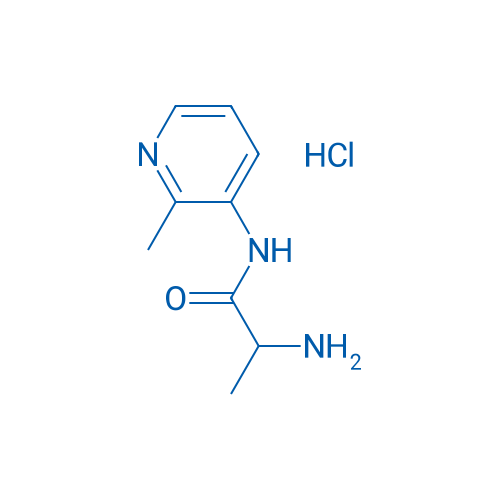 2-Amino-N-(2-methylpyridin-3-yl)propanamide hydrochloride 1g