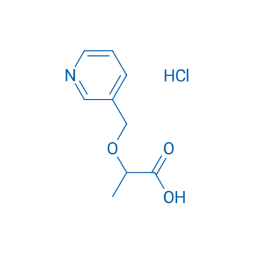 2-[(Pyridin-3-yl)methoxy]propanoic acid hydrochloride 1g