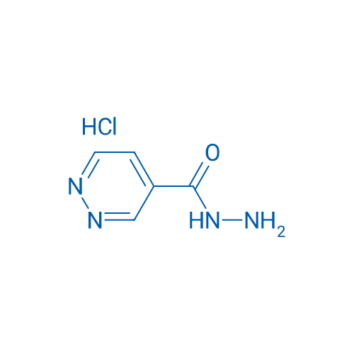 Pyridazine-4-carbohydrazide hydrochloride 250mg