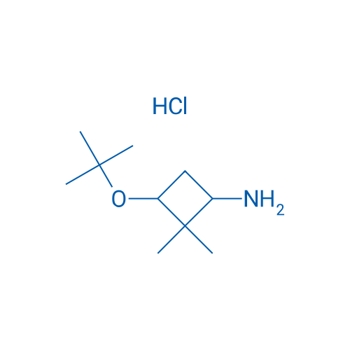 3-(tert-Butoxy)-2,2-dimethylcyclobutan-1-amine hydrochloride 1g