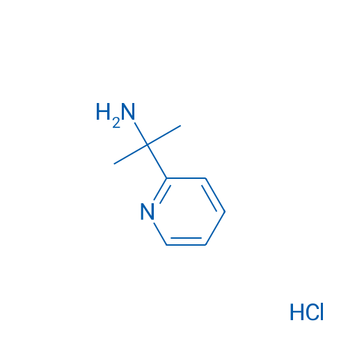 2-(Pyridin-2-yl)propan-2-amine hydrochloride 1g
