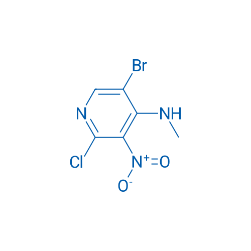 5-Bromo-2-chloro-N-methyl-3-nitropyridin-4-amine 1g