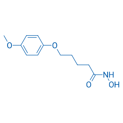 N-Hydroxy-5-(4-methoxyphenoxy)pentanamide 1g