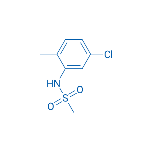 N-(5-Chloro-2-methylphenyl)methanesulfonamide 100mg