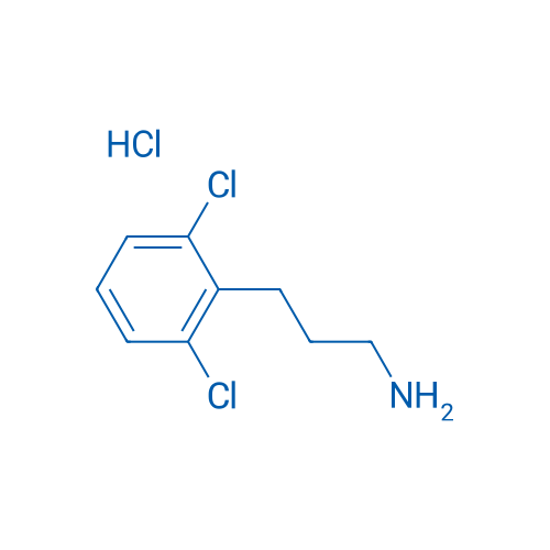 3-(2,6-Dichlorophenyl)propan-1-amine hydrochloride 1g
