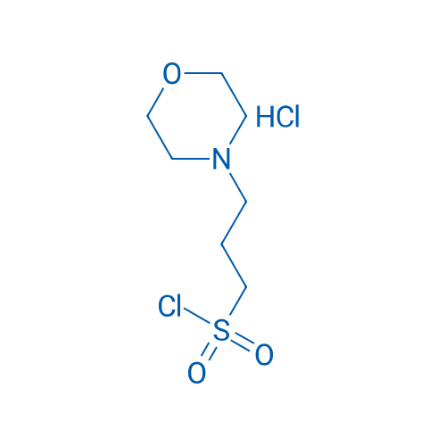 3-(Morpholin-4-yl)propane-1-sulfonyl chloride hydrochloride 1g