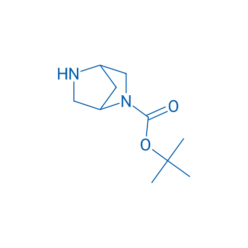 N-Boc-2,5-diaza-bicyclo[2.2.1]heptane 250mg