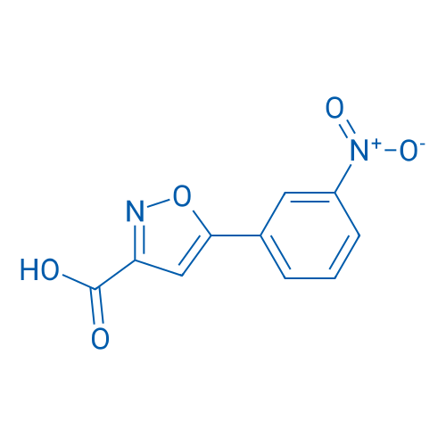5-(3-Nitrophenyl)isoxazole-3-carboxylic acid 250mg