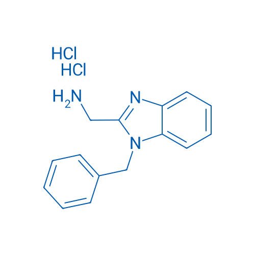 (1-Benzyl-1H-benzo[d]imidazol-2-yl)methanamine dihydrochloride 1g
