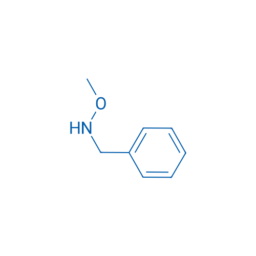 N-Benzyl-O-methylhydroxylamine 250mg
