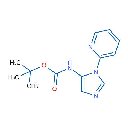 tert-Butyl (1-(pyridin-2-yl)-1H-imidazol-5-yl)carbamate 1g