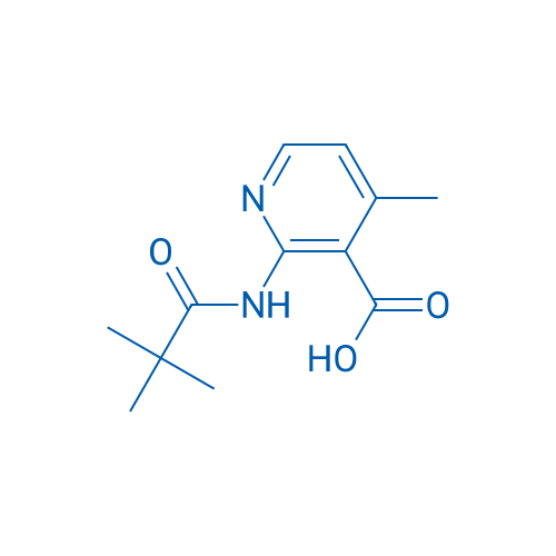 4-Methyl-2-pivalamidonicotinic acid 1g