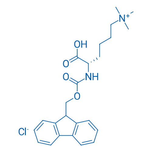 Fmoc-Lys(Me)3-OH Chloride 1g