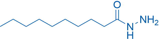 Decanoic acid, hydrazide 5g