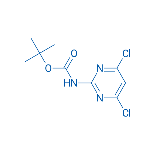 tert-Butyl (4,6-dichloropyrimidin-2-yl)carbamate 100mg