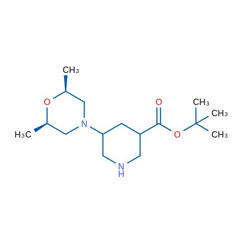 tert-Butyl 5-[(2R,6S)-2,6-dimethylmorpholin-4-yl]piperidine-3-carboxylate 1g
