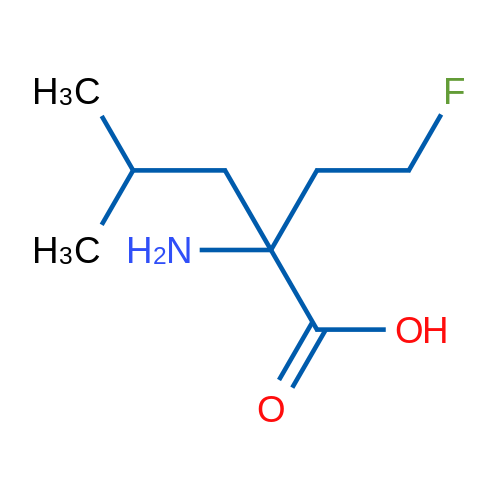 2-Amino-2-(2-fluoroethyl)-4-methylpentanoic acid 1g