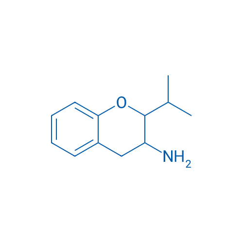 2-(Propan-2-yl)-3,4-dihydro-2H-1-benzopyran-3-amine 1g