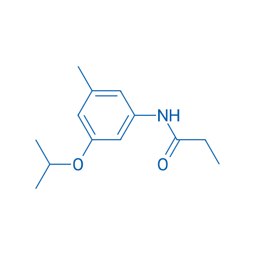 N-[3-Methyl-5-(propan-2-yloxy)phenyl]propanamide 1g