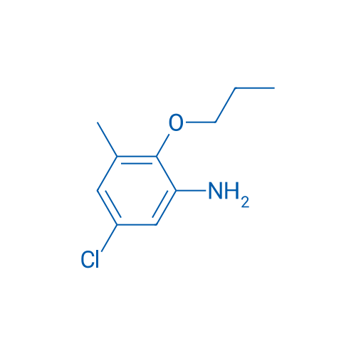 5-Chloro-3-methyl-2-propoxyaniline 1g